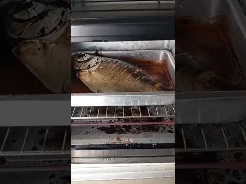 MATRINCHÃ AO MOLHO E PACU ASSADO NA SEGUNDA-FEIRA DO RELAXO! 🐟 O almoço tá no capricho!