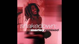 Bob Marley  - Shakedown Marley Remixed  (Full Album)