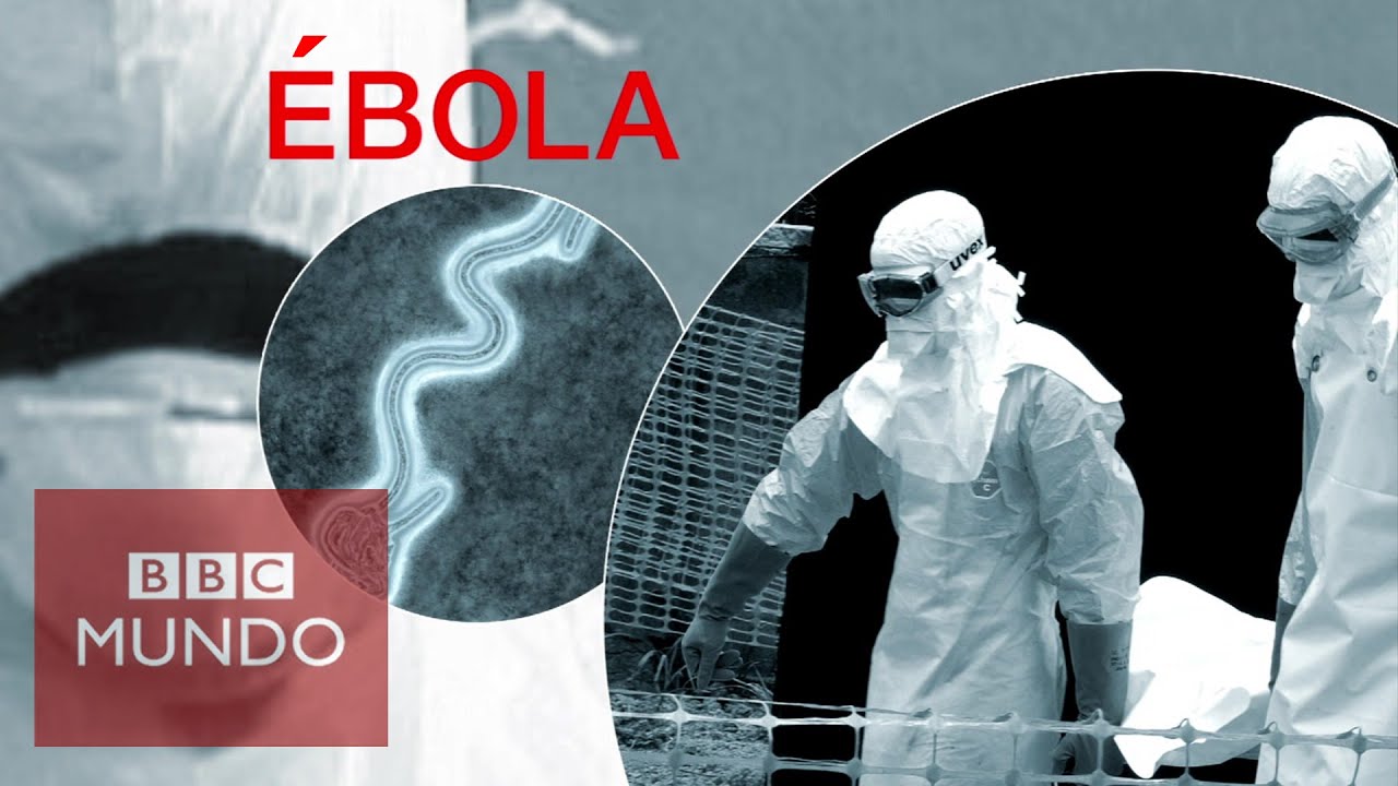 Ébola: ¿cuando habrá una vacuna? - BBC Mundo