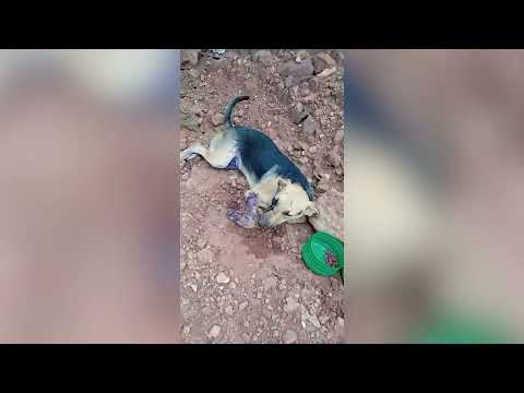 O QUE ESTÁ ACONTECENDO COM A CIDADE DE NERÓPOLIS GOIÁS?