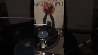 The Christians - Harvest For The World (1988)