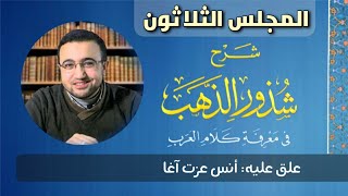 صورة المجلس الثلاثون من شرح شذور الذهب - أنس عزت آغا