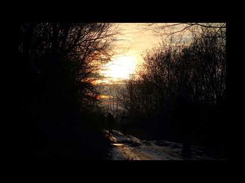 Petre Elinescu - Scena Pastorala Romana