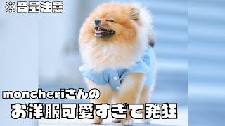 新しいお洋服を買ったら可愛すぎて発狂！こぐまカットのぽぽちゃんファッションショー　※後半音量注意