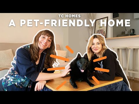 舒適的日本公寓是這樣的!(ft.BunnyTokyo) [TC Homes Ep:10]。 (This is what a Cosy Japanese Apartment Looks Like! (ft. BunnyTokyo)  [TC Homes Ep:10])