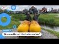 Op de Zaanse Schans kijken ze uit naar meer toeristen