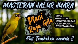 Download lagu Jernih banget !! MASTERAN PLECI FULL ISIAN TEMBAKAN KEKINIAN SUPER MEWAH❗ mp3 Download lagu Jernih banget !! MASTERAN PLECI FULL ISIAN TEMBAKAN KEKINIAN SUPER MEWAH❗ mp3