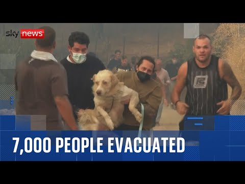 Wildfires trigger evacuations in Greece amid deadly heatwave across Southern Europe