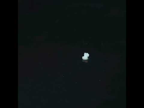 YouTube 썸네일
