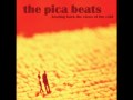 Summer Cutting Kale - the pica beats (With lyrics ...