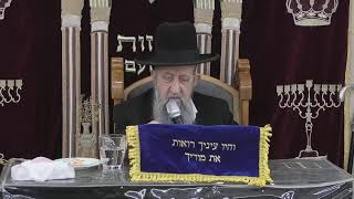 הרב בן ציון מוצפי • בית הכנסת סודאי שידור חי (בית הכנסת מוסאיוף) - התמונה מוצגת ישירות מתוך אתר האינטרנט יוטיוב. זכויות היוצרים בתמונה שייכות ליוצרה. קישור קרדיט למקור התוכן נמצא בתוך דף הסרטון הרב בן ציון מוצפי • בית הכנסת סודאי שידור חי (בית הכנסת מוסאיוף) - התמונה מוצגת ישירות מתוך אתר האינטרנט יוטיוב. זכויות היוצרים בתמונה שייכות ליוצרה. קישור קרדיט למקור התוכן נמצא בתוך דף הסרטון