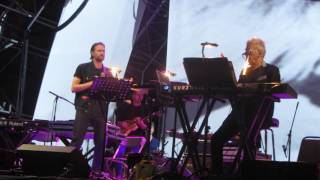 John Cale/The Velvet Underground - I&#39;ll Be Your Mirror (W/ Wild Beasts)