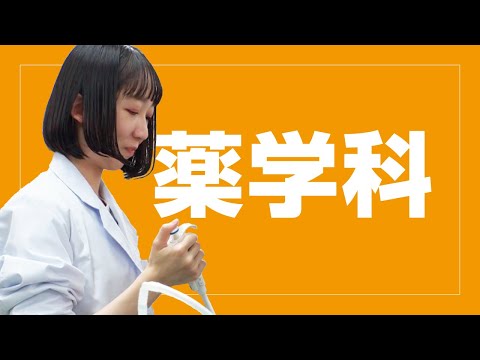 美術学科 崇城大学　薬学部　薬学科　2024