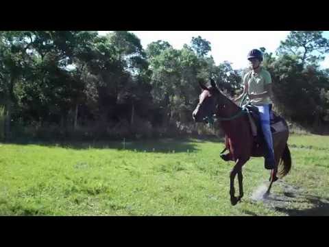 Cerise 2  06/02/2016