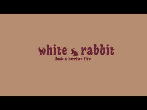 white rabbit - ängie x harrison first
