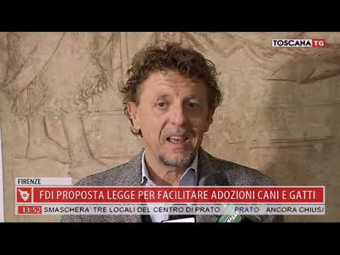 2019-01-09 TG MERIDIANO