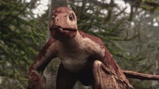 Microraptor - Flying Dinosaur - Planet Dinosaur - BBC