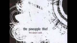 The Pineapple Thief ~ February 13th