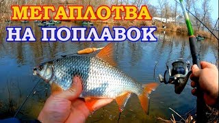Ловля крупной плотвы весной на поплавочную удочку