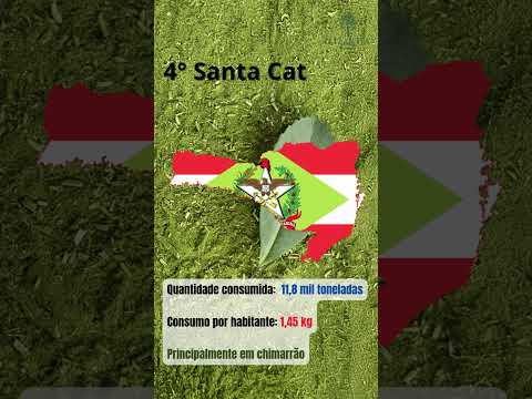 Estados que mais consomem erva-mate no Brasil!