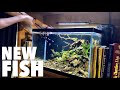 10 Gallon Fish Aquarium For Sale