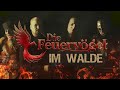 DIE FEUERV&Ouml;GEL - Im Walde