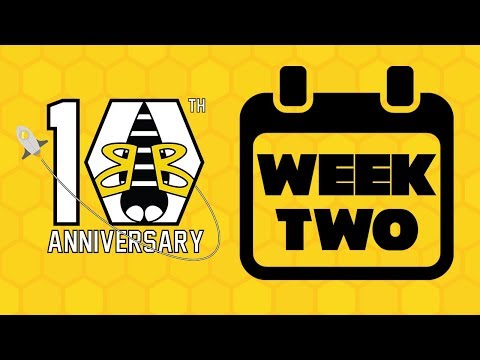 BumbleB 3339 - 2019 Build Season Week 2