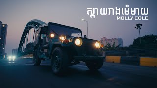 Molly Cole' - ស្ដាយរាងមេម៉ាយ Sday Reang Memai (OFFICIAL MUSIC VIDEO)