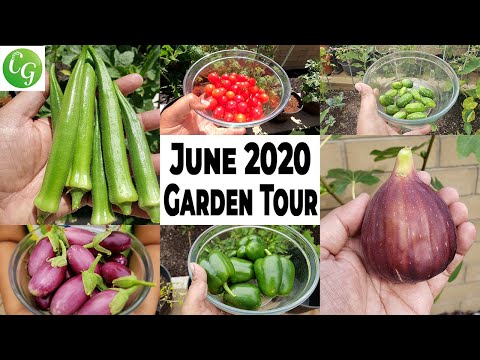 Gardening EPIC Garden Harvests FALL Organic Gardening Prep Garden Tour