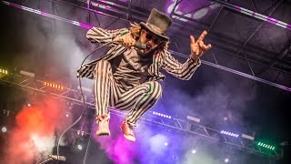 Marco Benevento & Superhuman Happiness - "Life on Mars / Limbs of a Pine / Jump Into the Fire"