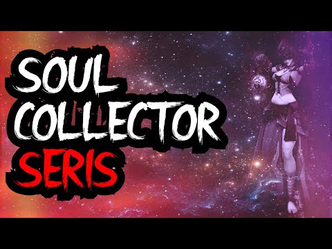 BEEFY DPS SERIS ( 20+ Streak) | Paladins Pro Seris Gameplay and Build