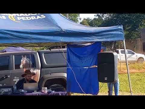 Égua Adulta de Marcha Batida.  IV COPA DE CÓRREGO FUNDO-MG. 