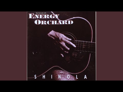 The Star of the County Down