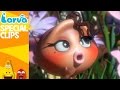 [Official] The Larva Girls - Fun Clips from Animation LARVA