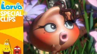 [Official] The Larva Girls - Fun Clips from Animation LARVA