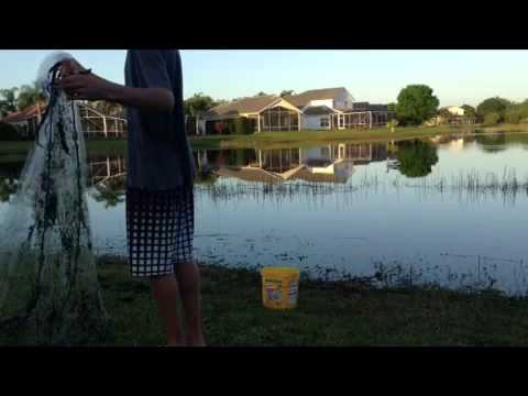 Cast netting in my pond