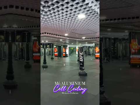 M6 ALUMINIUM CELL CEILING @ AMPANG