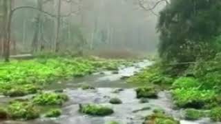 Download lagu Lagu pujian Kasih Allah Bapa mp3 Download lagu Lagu pujian Kasih Allah Bapa mp3