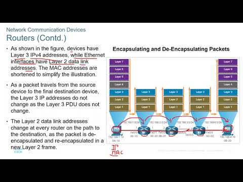 Day 5 Part 2 Module 11 Network Communication Devices
