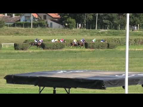 Trka "Mihajlovac" 04.09.2021 Kalakchee - Kristijan Mustafić