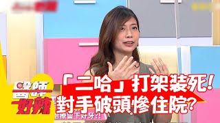 「二哈」打架倒地裝死 對手破頭慘住院？【#醫師好辣】20220811 part4 EP1392 熊爸 張佳倖 楊靜宇 阿龐