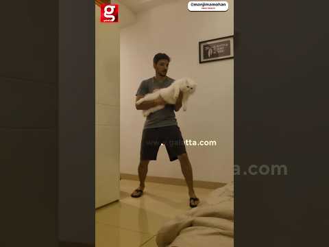 😍பூனையுடன் கொஞ்சி விளையாடும் Gautham Karthik!💖