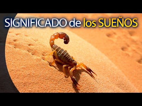 🔘 SOÑAR CON ALACRÁN - Significado de los Sueños