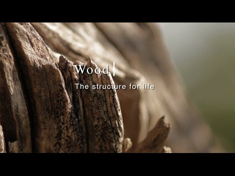 WOOD Structure for Life