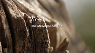 WOOD Structure for Life