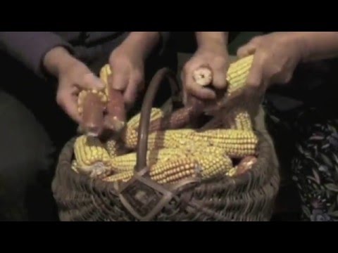 POVESTI POPULARE din Subpiatra si Hotar (Tetchea - Bihor)