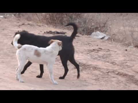 Heeriye (Official  Heeriye (Official Video) Jasleen Royal ft Arijit Singh| | @refugiomental6032