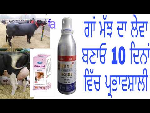 Vitum H Specifications