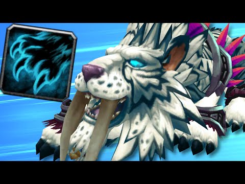 Feral Druid PULVERIZED That Paladin! (5v5 1v1 Duels) - PvP WoW: Shadowlands 9.0.5