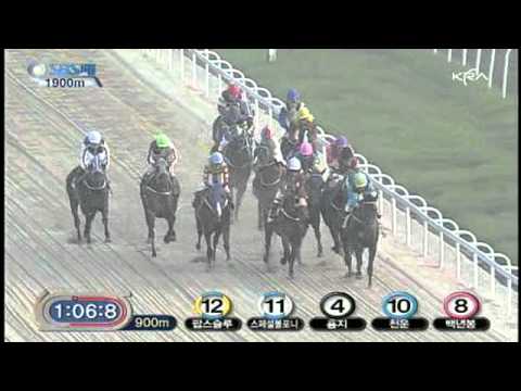 2011 SBS Cup - High Point